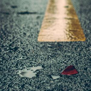 印度农村18HD69HD
