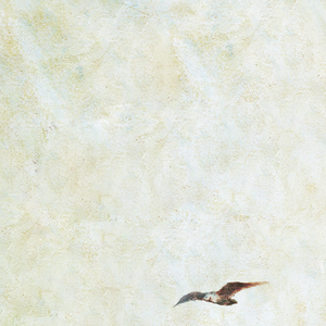 印度农村18HD69HD
